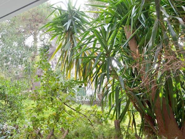 شقة Vouliagmeni'S Secret Garden Near The Sea أثينا المظهر الخارجي الصورة