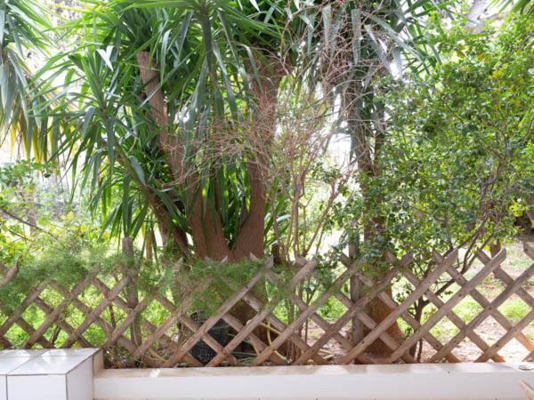 شقة Vouliagmeni'S Secret Garden Near The Sea أثينا المظهر الخارجي الصورة